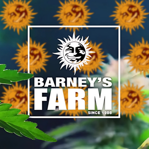 Barney's Farm Seeds
