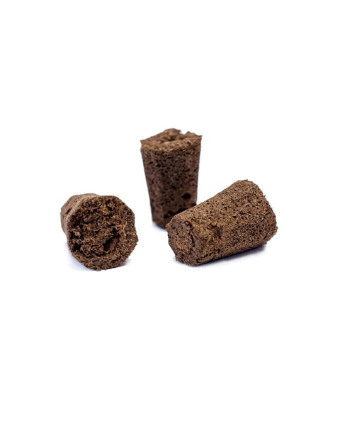 Eazy Plug Anzuchtwürfel