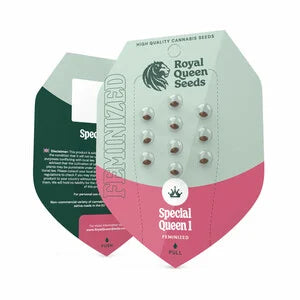 Royal Queen Seeds | Special Queen 1 Feminisierte Samen