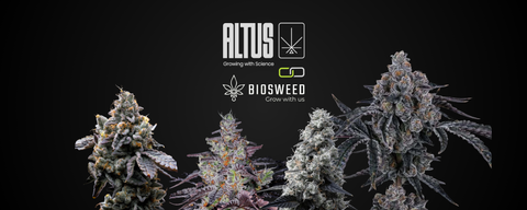 Neue Altus Lieferung am 27.02.26