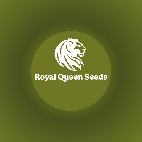 Royal Queen Seeds