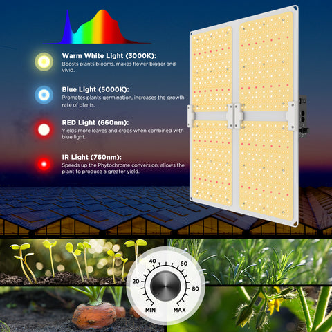 Biosweed Grow Kit 120x120x200cm – Komplettes Ausstattungsset mit LED Grow Light, Ventilationssystem und Zubehör