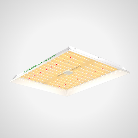 Mars Hydro TS 1000 – 150W Vollspektrum-LED-Pflanzenlampe