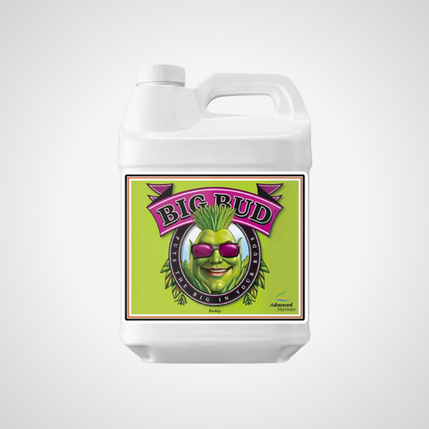 Big Bud von Advanced Nutrients 250ml / 500ml