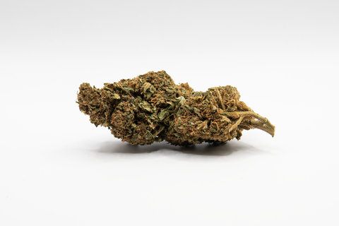 CBD Blüten Gorilla Glue