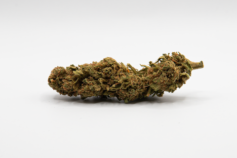 CBD Blüten Nothern Lights