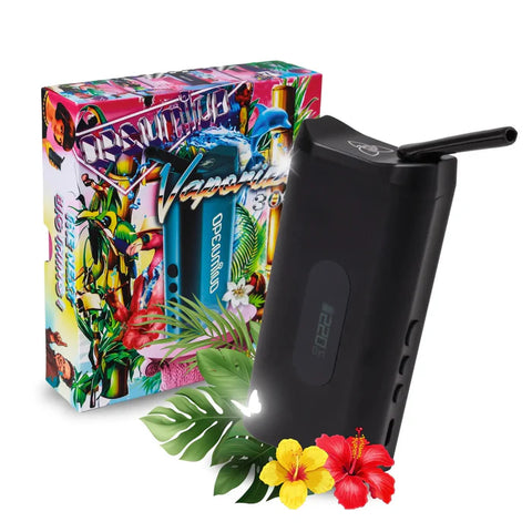 HIZEN Nanu x Vaporizer 3000 Vaporizer